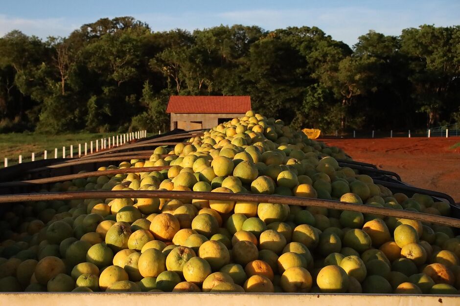 Governo constata nova fronteira agrícola com MS