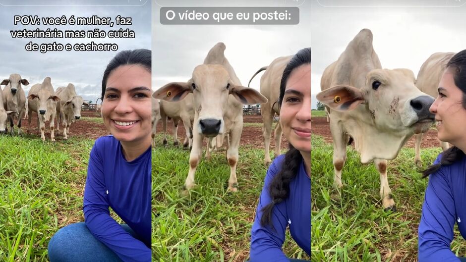 Gabrielle posta sobre seu dia a dia nas redes sociais, com gado e trabalhos relacionados à veterinária