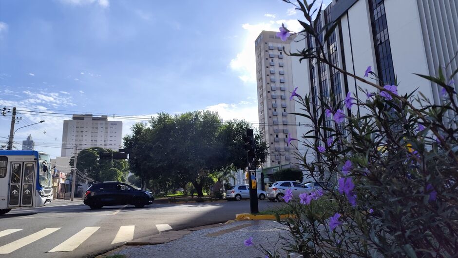 Sexta-feira deve ser de sol em MS