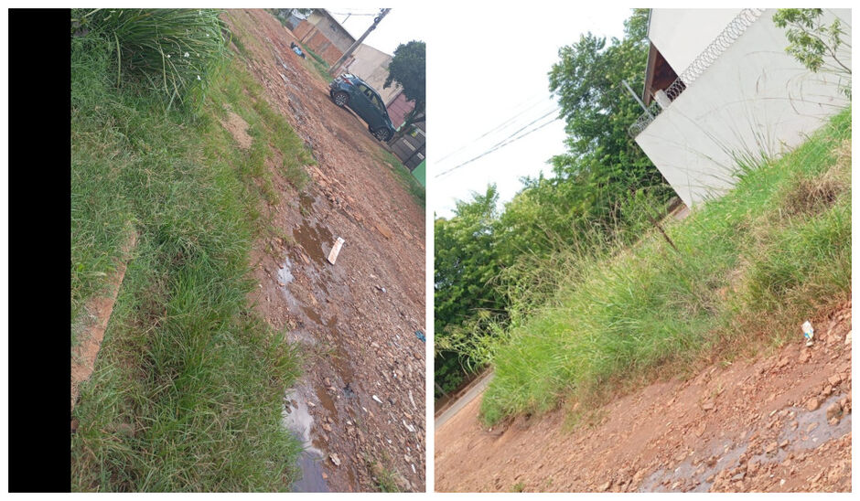 Rua sofre com o mato alto e com as diversas crateras