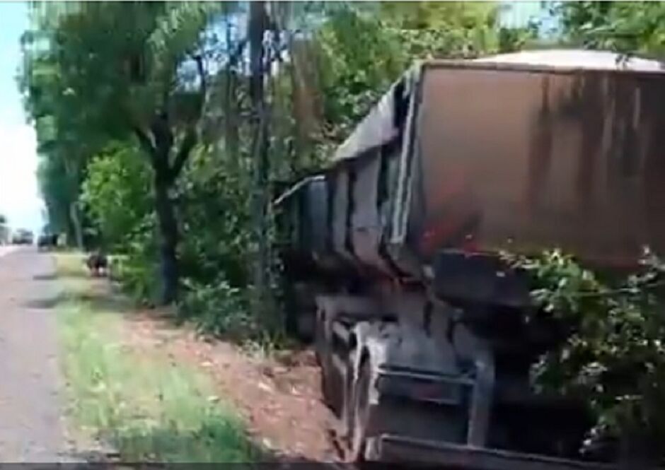 Caminhão foi parar na vegetação às margens da rodovia