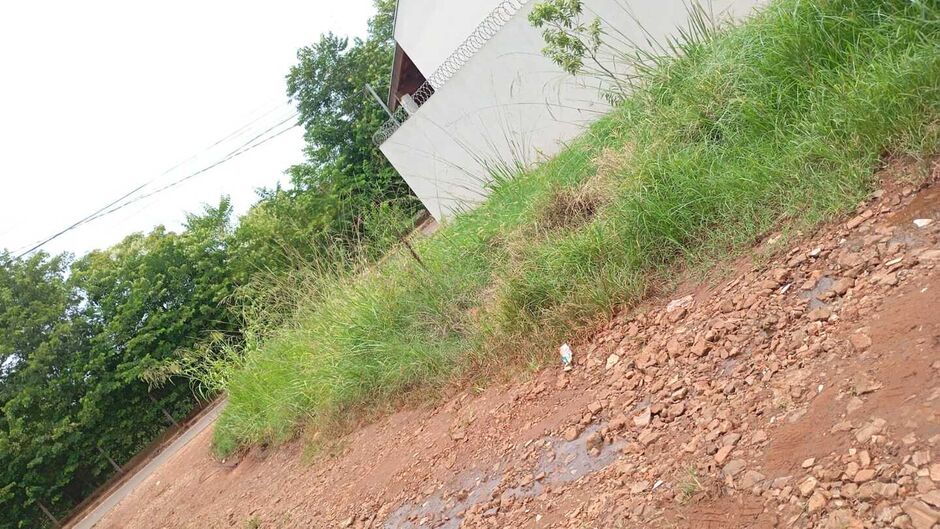 Rua sofre com o mato alto e com as diversas crateras