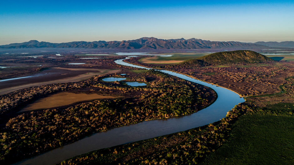 Várias lutas já foram travadas e vencidas pelo SOS Pantanal em favor do bioma
