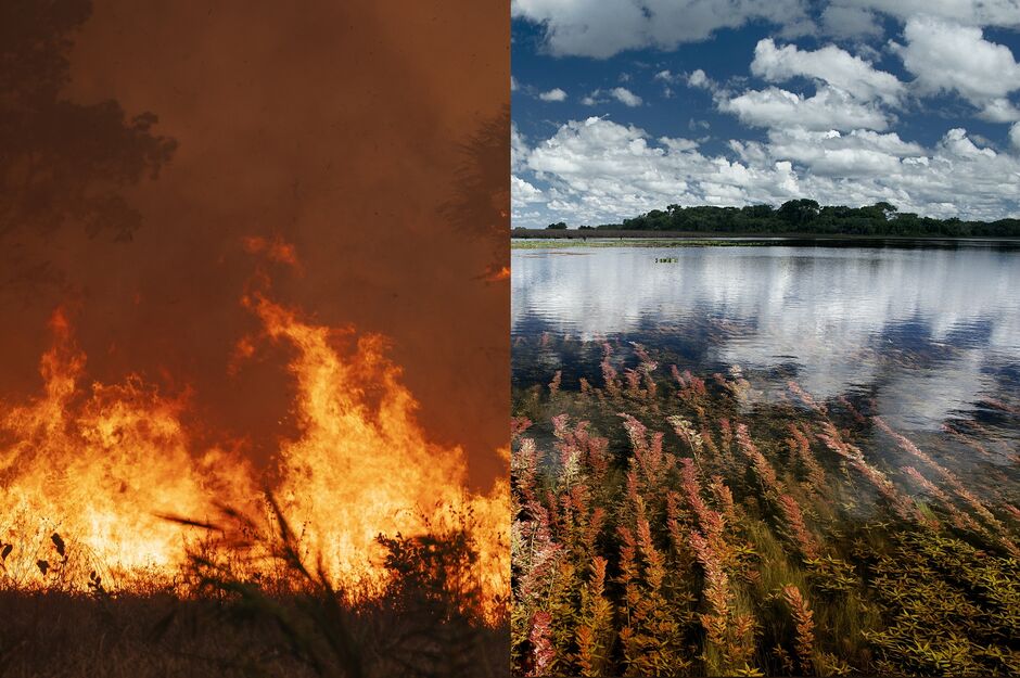 Pantanal em chamas e em seu esplendor natural são tema de exposição na Europa