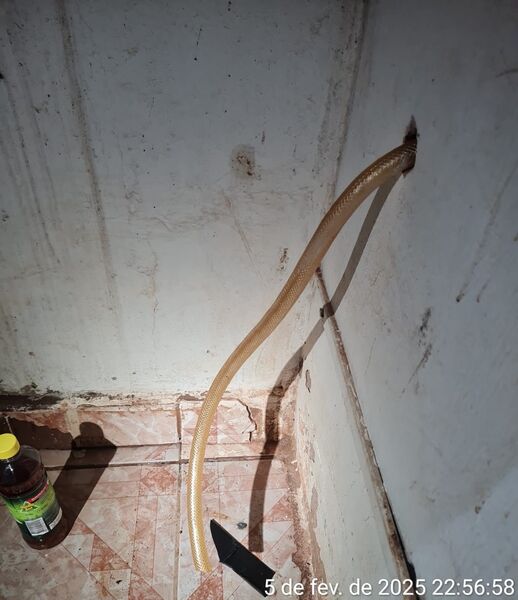 Antes de fugir, criminoso tentou atear fogo no imóvel