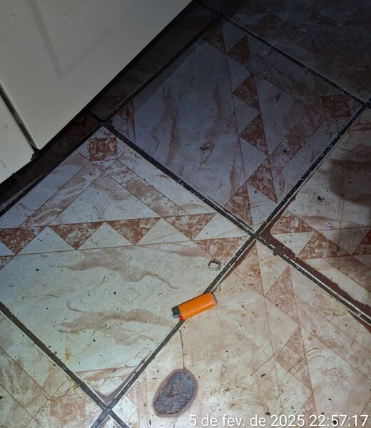 Antes de fugir, criminoso tentou atear fogo no imóvel