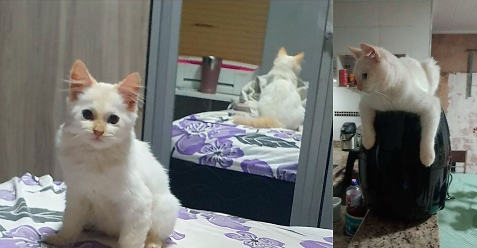 Francisley na casa da Priscila