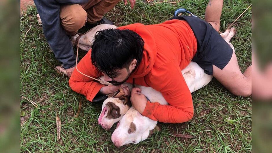 Lutador conseguiu imobilizar os dois animais