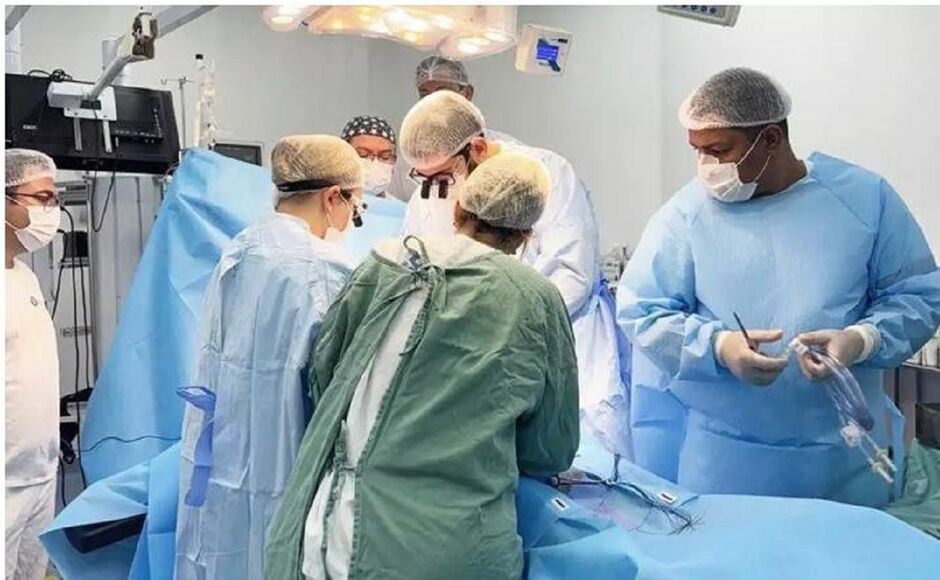 MS já ocupa lugar de destaque em âmbito nacional 