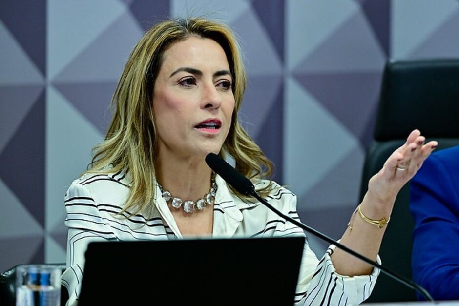 Soraya relata projeto que autoriza doação de comida a ONGs 