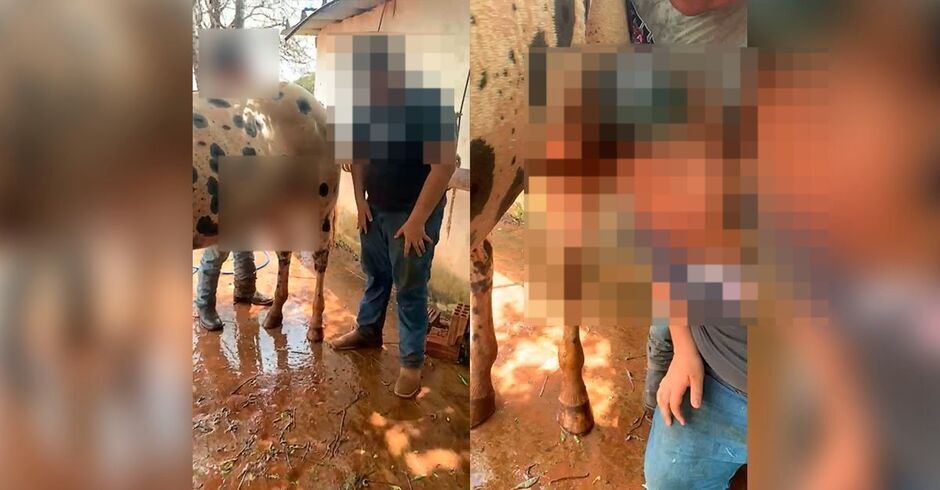 O caso aconteceu em uma fazenda do interior de MS