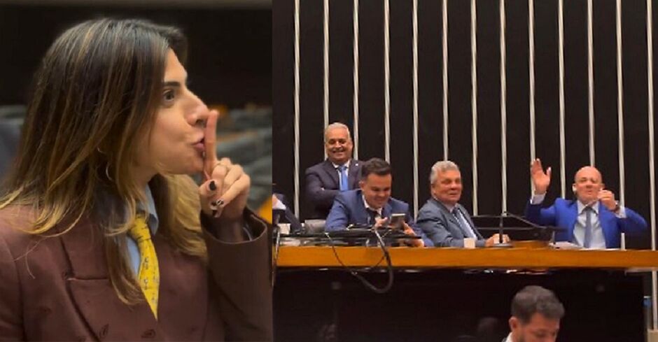 Camila Jara provoca bolsonaristas na Câmara