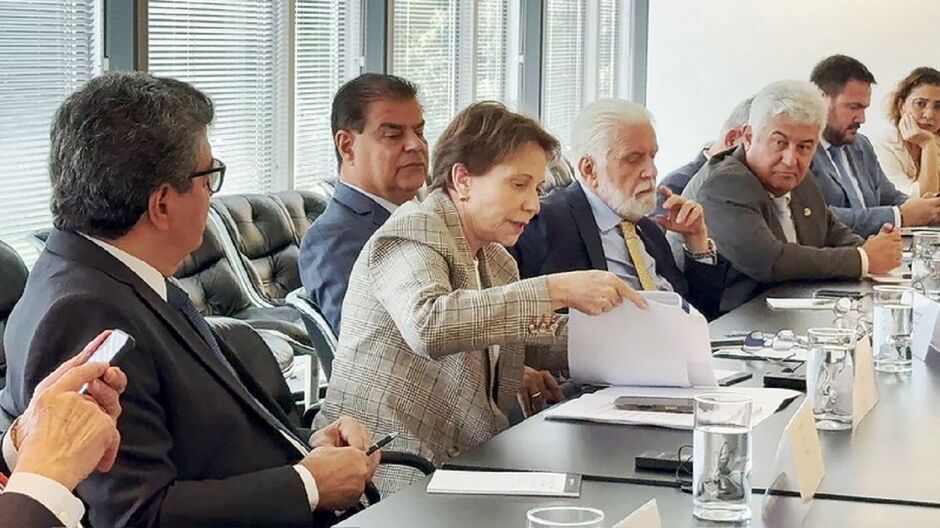 Tereza luta para derrubar ''tarifaço'' da carne brasileira