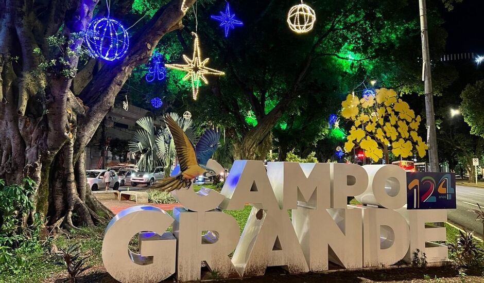 Segundo o texto, as empresas interessadas poderão patrocinar a decoração e, em troca, divulgar suas marcas nos locais iluminados