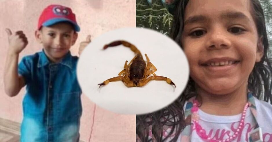 Adrian e Valentina faleceram após serem picados por escorpiões