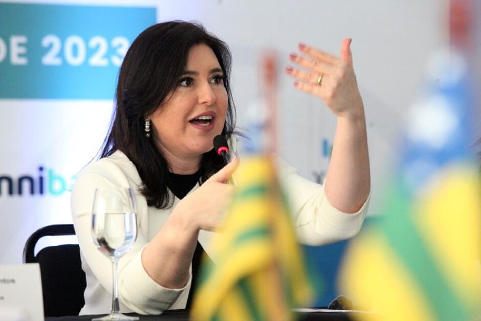 Ministra citou dados sobre o Emprego no Brasil 