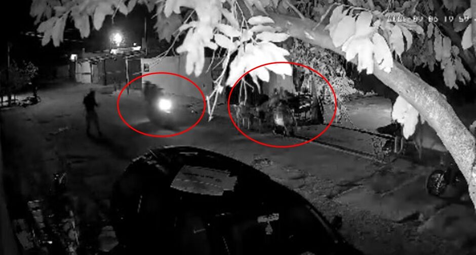 O crime aconteceu na noite de sábado (6)