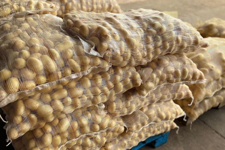 Batata tem queda de 10% nos preços, em média