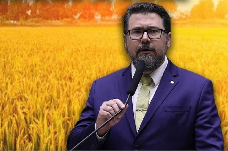 Pollon cobrou explicações do MEC 