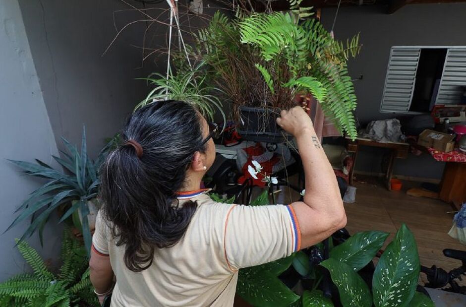 Ação principal será em 13 de novembro 