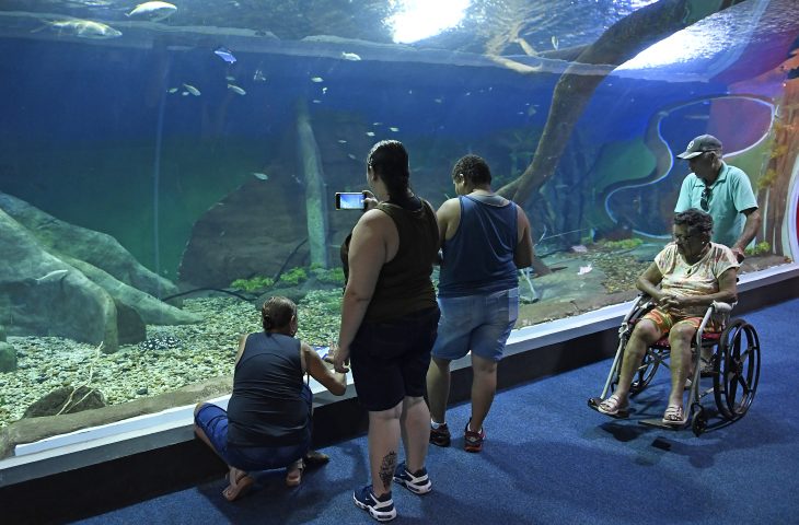 Bioparque se consolida como atrativo internacional 