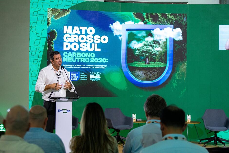 Riedel apresentou ações adotadas em MS 