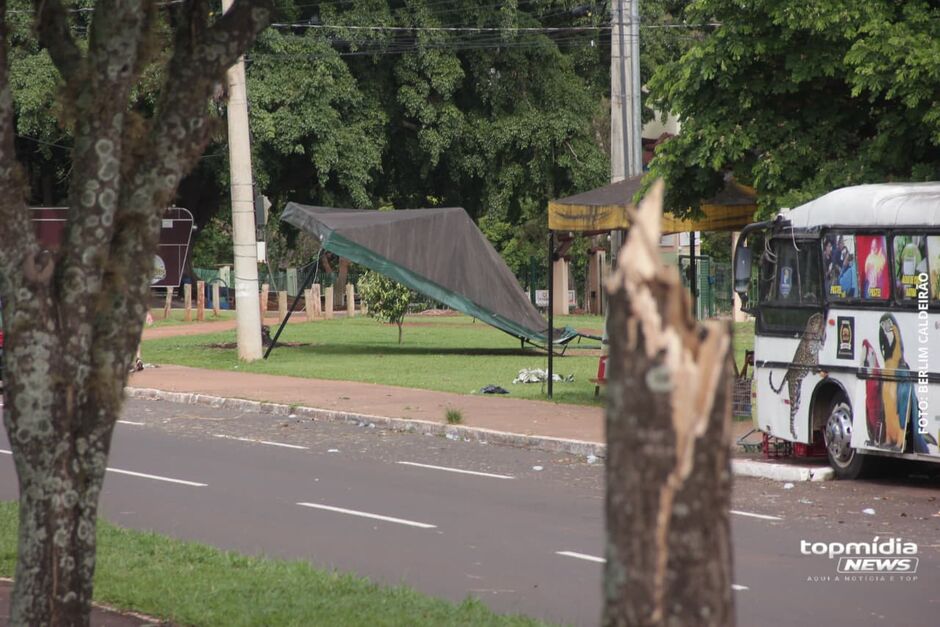 Destruição partiu árvores ao meio 