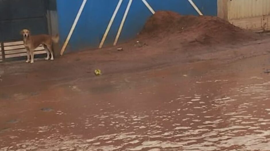 Linha de ônibus no Parque Lageado fica intransitável durante chuva