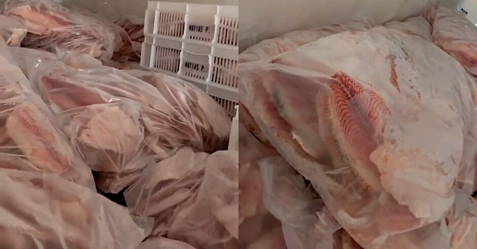 Cinco toneladas de pescado seriam lavados pra comércio da Capital