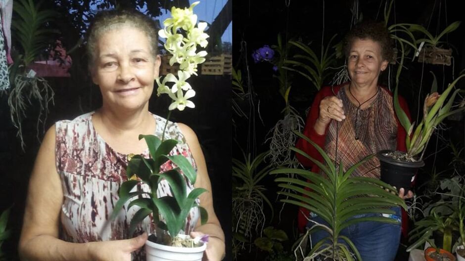 Tereza amava flores e deixava qualquer ambiente mais leve