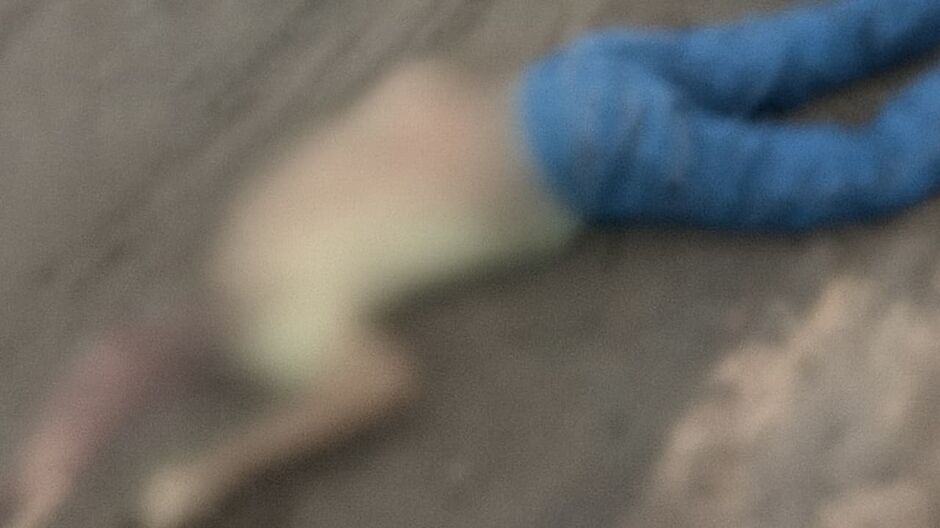 O acidente aconteceu às margens da rodovia