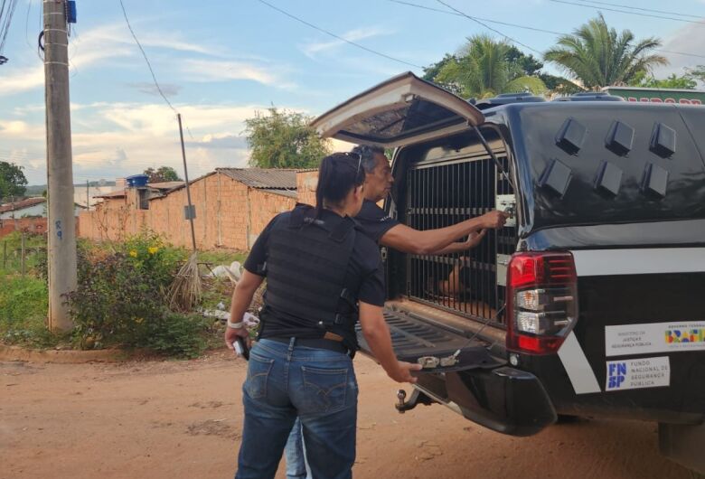 Homem é preso preventivamente pela DAM