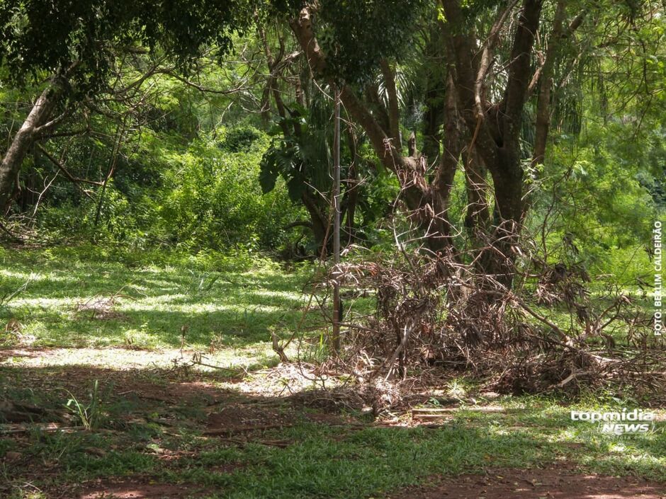 APP tem nascentes e estava degradada 