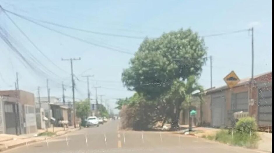 Reprodução- CampoGrandeMilGrau