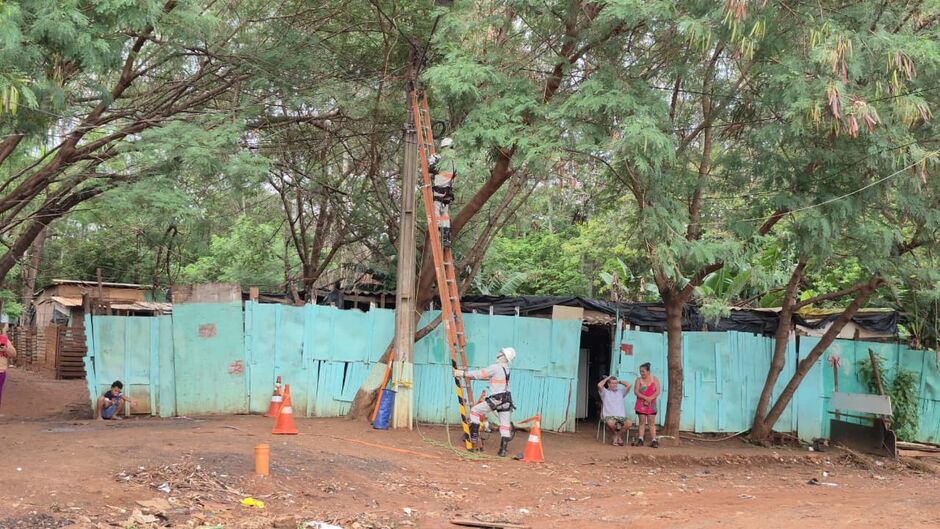 Árvore que caiu em novembro ainda está sendo retirada pela prefeitura