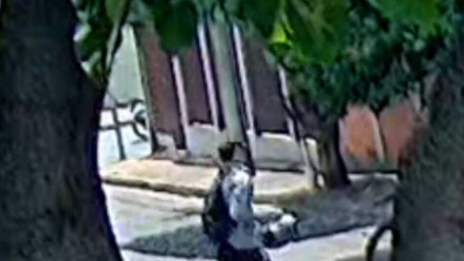 O crime aconteceu a luz do dia