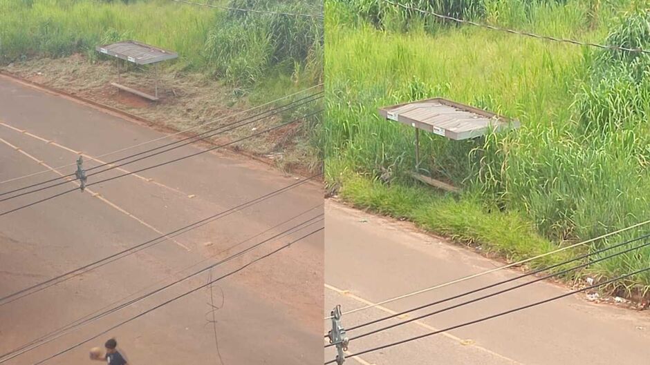 Moradores do bairro Tijuca em Campo Grande se mobilizam para limpar pontos de &ocirc;nibus tomados pelo matagal 
