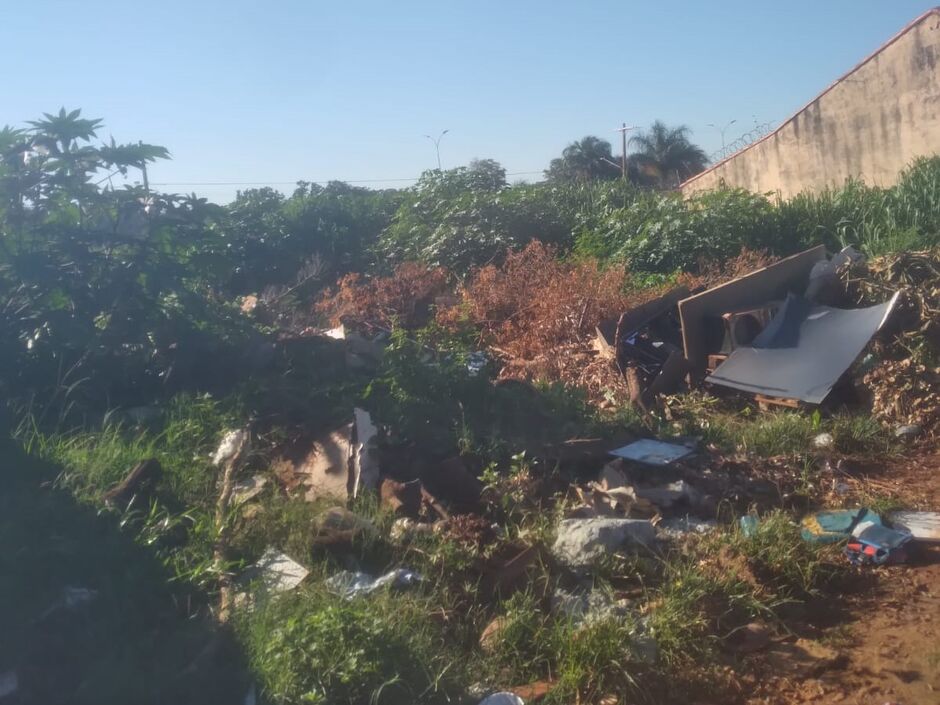 Abandono de terreno baldio deixa moradores preocupados com o risco de acidentes envolvendo insetos e animais pe&ccedil;onhentos