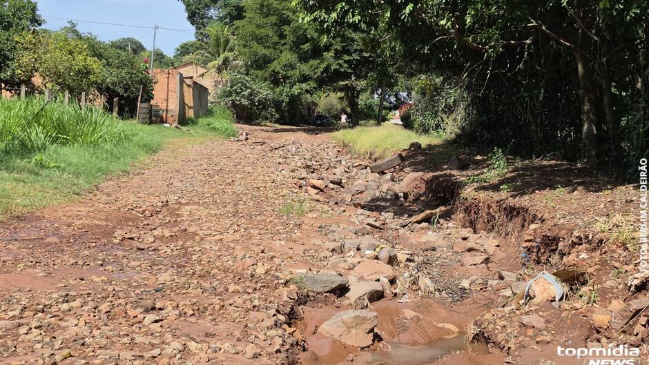 Moradores do Jardim Col&uacute;mbia enfrentam ruas destru&iacute;das e &aacute;rvore condenada