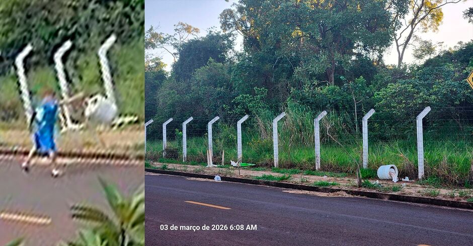 Flagrante foi feito por morador, que se indigna com situa&ccedil;&atilde;o 