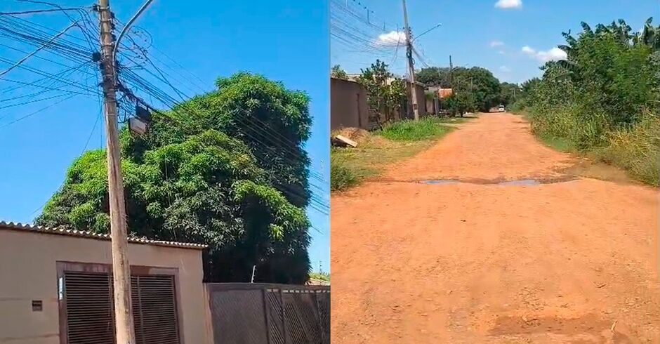 matagal no bairro S&atilde;o Conrado tem causado transtornos para a comunidade 