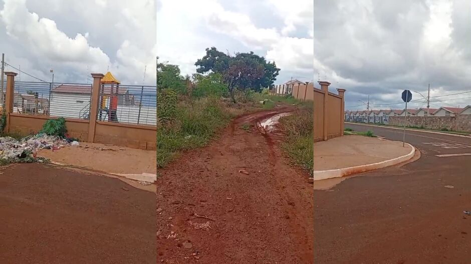 Moradores do bairro Vila Nasser enfrentam problemas com cobras, insetos e lama por causa de terreno abandonado ao lado de suas casas