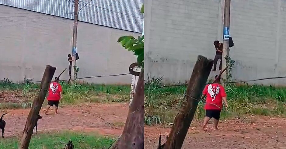 Morador frusta tentativa de furto de fia&ccedil;&atilde;o durante o dia 