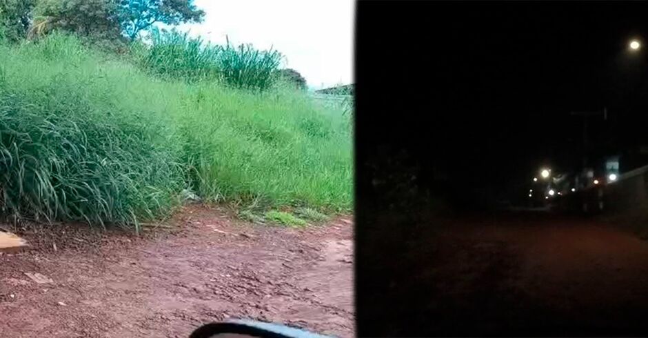 Matagal e falta de ilumina&ccedil;&atilde;o preocupam moradores  