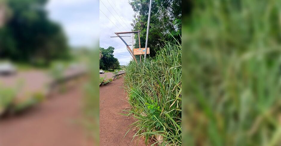 O mato cobriu uma das faixas da ciclovia impedindo a passagem 