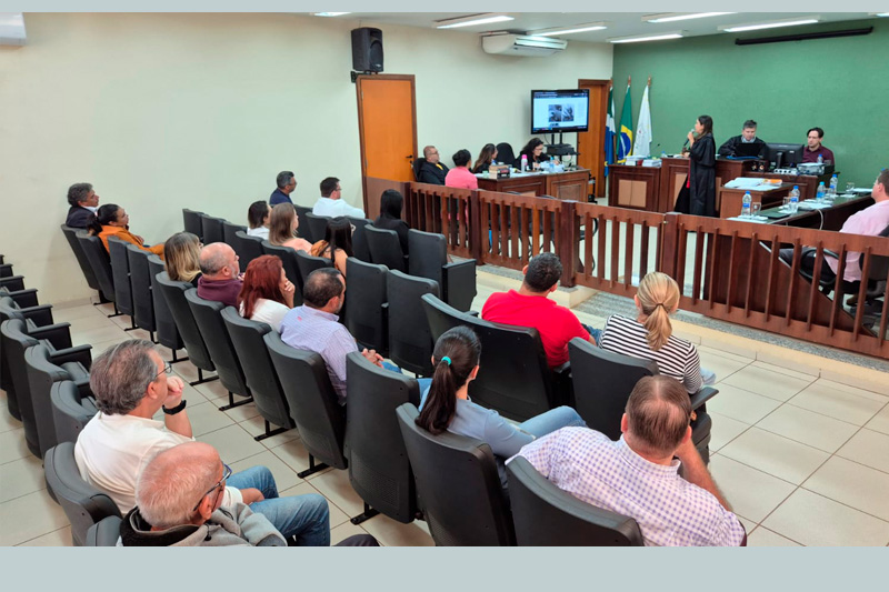 A mulher deve cumprir a primeira parte da pena em pris&atilde;o domiciliar 