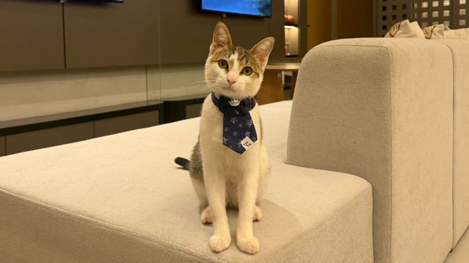 Bueno, mascote de um dos apoiadores do evento