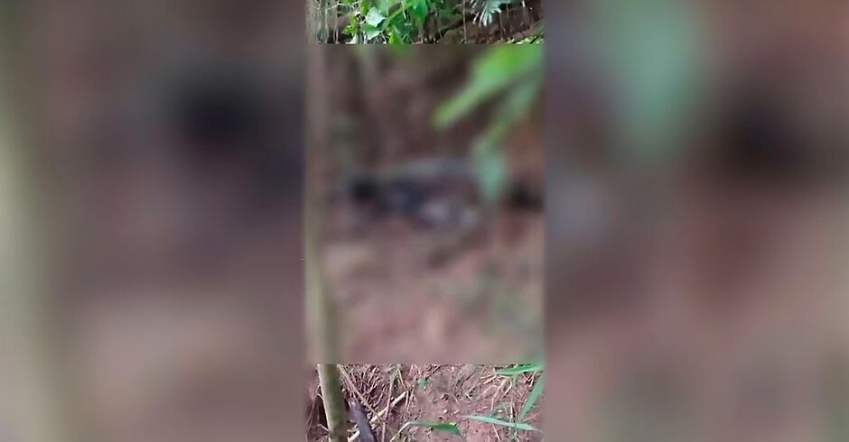 O corpo foi achado na tarde de ontem
