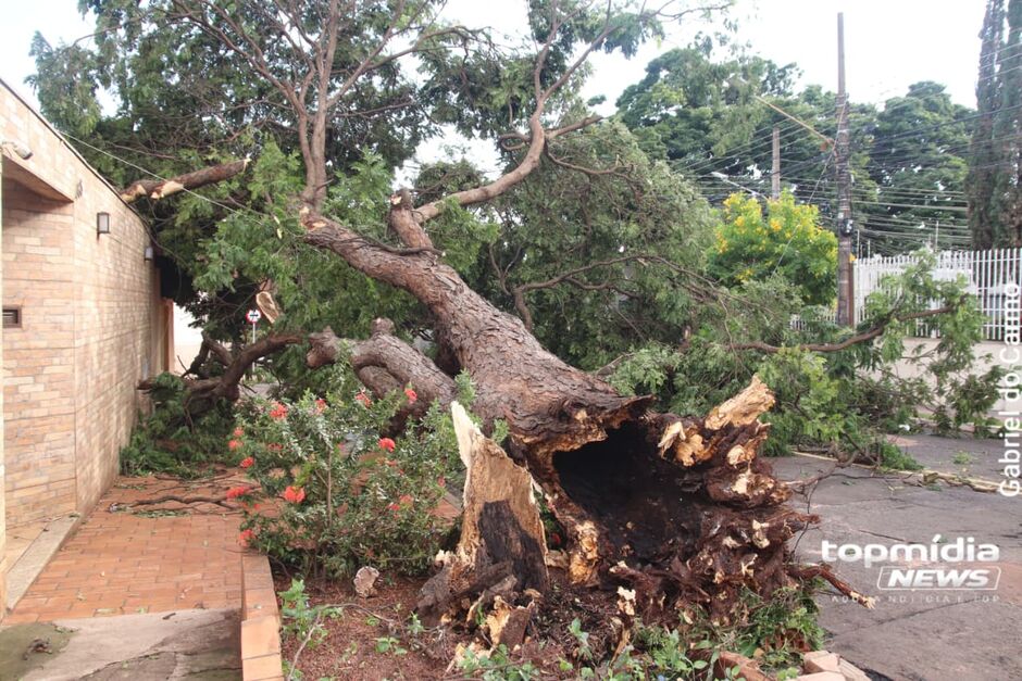 Chuvas deixaram rastros de destrui&ccedil;&atilde;o em toda Campo Grande