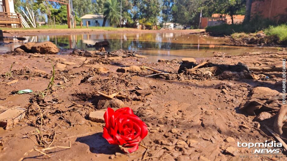 Lagoa da Cenira Soares Magalh&atilde;es